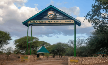 6 Days Wildlife Safari: Explore Tarangire, Serengeti & Ngorongoro Crater