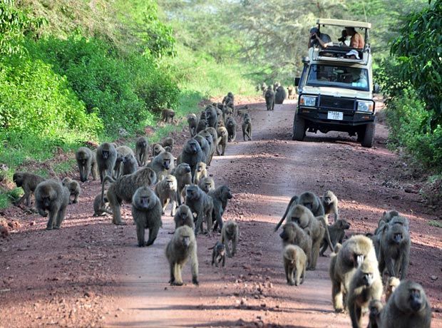 Lake Manyara